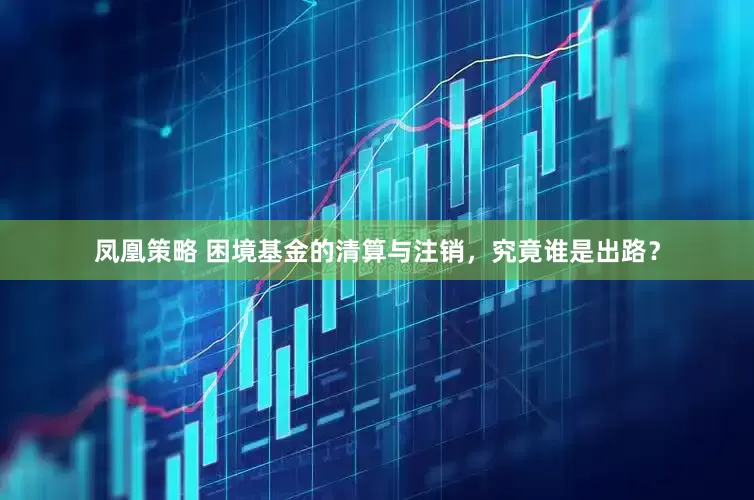 凤凰策略 困境基金的清算与注销，究竟谁是出路？