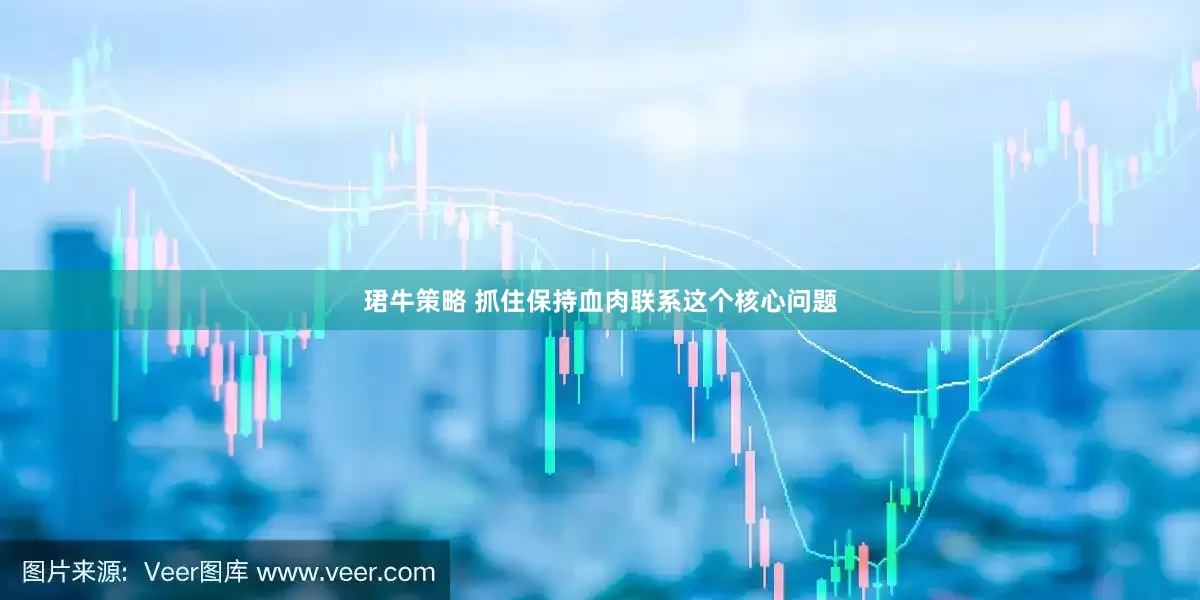 珺牛策略 抓住保持血肉联系这个核心问题