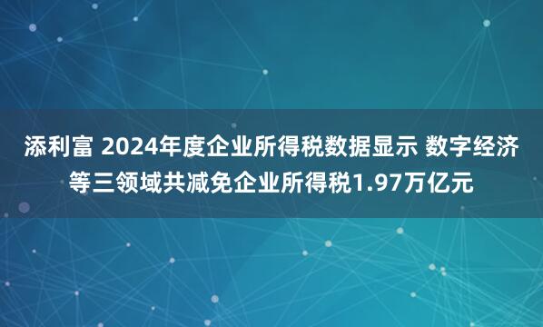 添利富 2024年度企业所得税数据显示 数字经济等三领域共减免企业所得税1.97万亿元