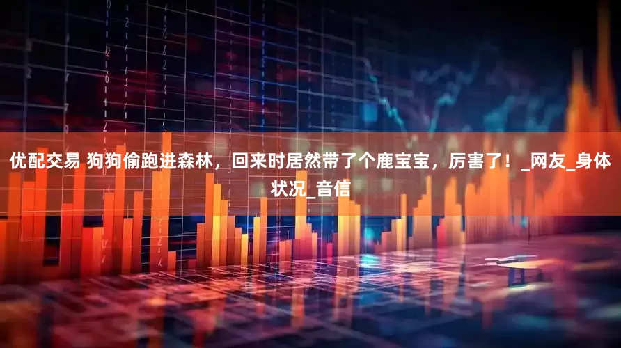 优配交易 狗狗偷跑进森林，回来时居然带了个鹿宝宝，厉害了！_网友_身体状况_音信