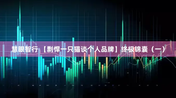 慧眼智行 【剽悍一只猫谈个人品牌】终极锦囊（一）