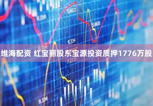 维海配资 红宝丽股东宝源投资质押1776万股