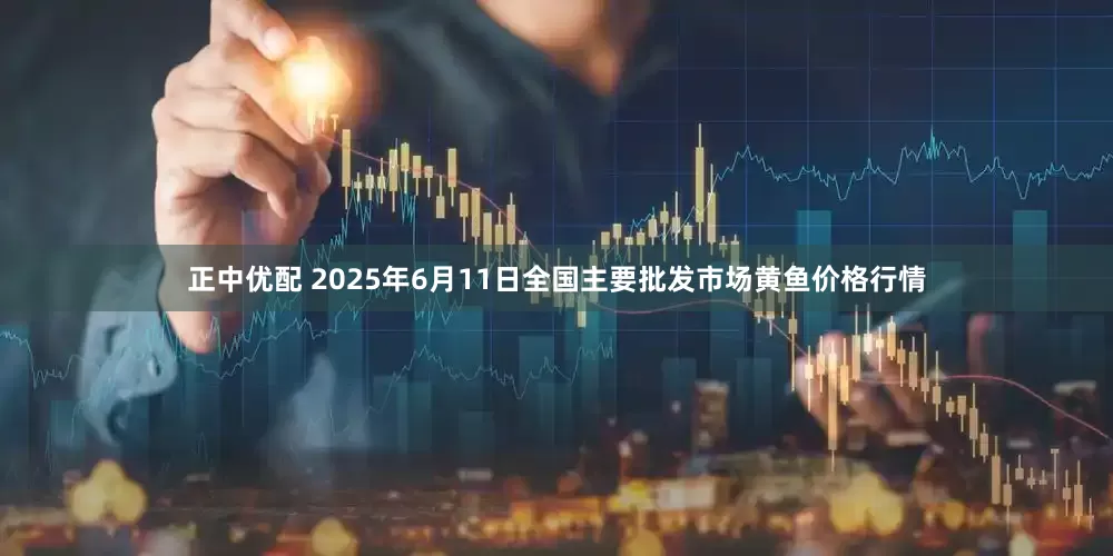 正中优配 2025年6月11日全国主要批发市场黄鱼价格行情
